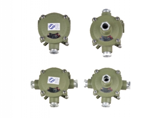 Factory wholesale Explosion Proof Fittings And Boxes - AH series Explosion-proof junction box – Feice
