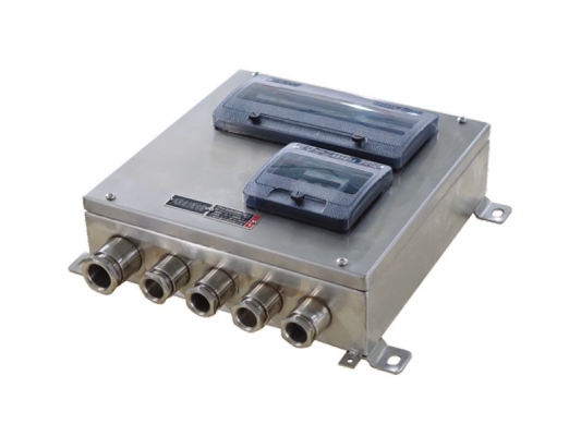Hot Sale for Waterproof Wire Connector Plugs - SFM(D)G- Water&dust&corrosion-proof lighting (power) distribution box – Feice